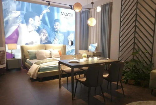 愛依瑞斯莫拉 詮釋藝術之魅，引領軟體家具新風尚